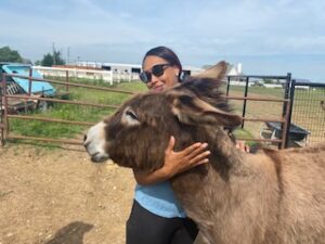 Donkey Loves Visitor Playtime