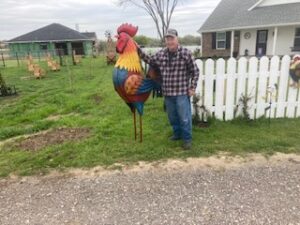 Freedom Acres Giant Rooster welcomes Guests