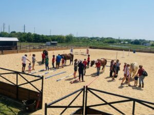 Group Horseback Riding Training