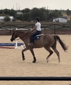 Horseback Riding and Training